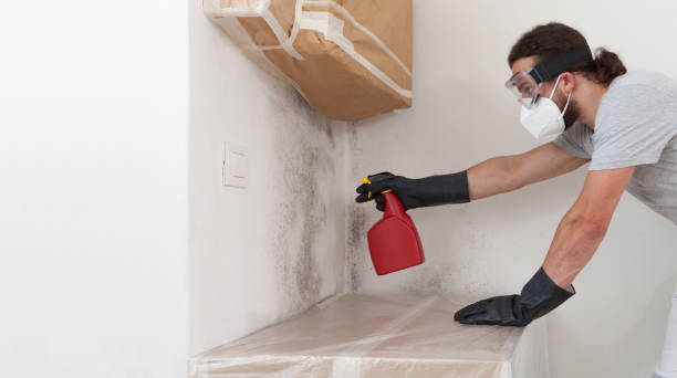 Professional Bathroom Mold Removal technician working in Keasbey, NJ